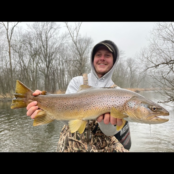 Meet your Posher, Reed - Picture 1 of 1